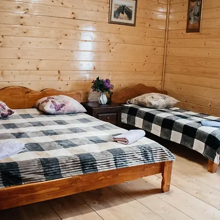 Guest house з неймовірними краєвидами, карпатський чан Dream, чан джакузі Slavske